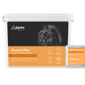 Apex Muscle Max