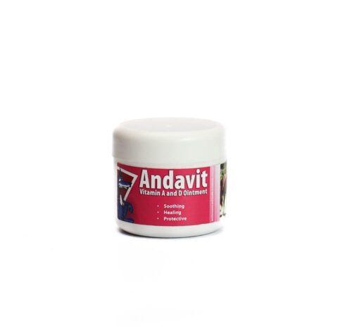 Equifox Andavit
