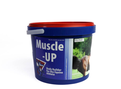 Equifox Muscle Up