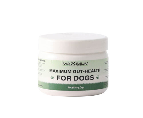Max Gut Health Dog