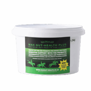 Max Gut Health Plus