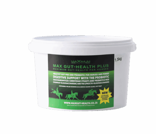 Max Gut Health Plus