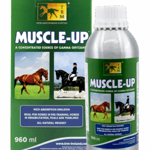 TRM Muscle Up