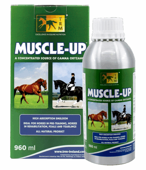TRM Muscle Up