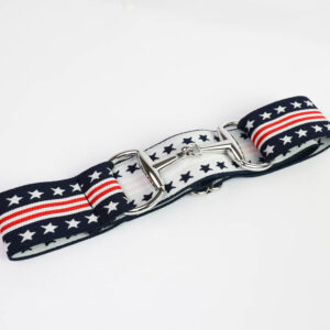 Elasticated Belt Team USA