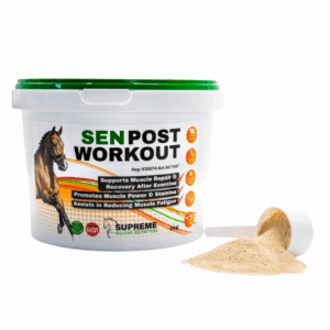 SEN Post Workout