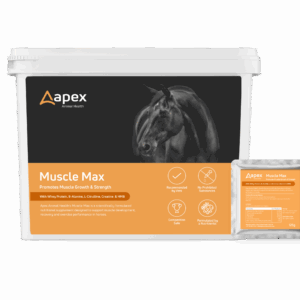 Apex Muscle Max