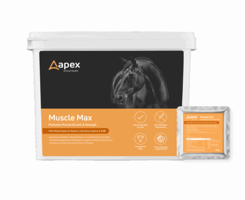 Apex Muscle Max
