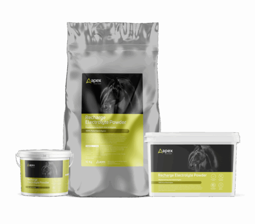Apex Electrolyte Powder