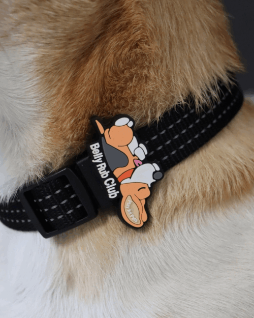 Pet Accessory - Belly Rub Club - Image 2