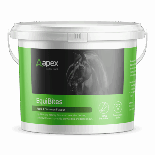 Apex EquiBites Apple & Cinnamon Treats 1kg