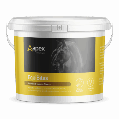 Apex EquiBites Banana & Caramel Treats 1kg