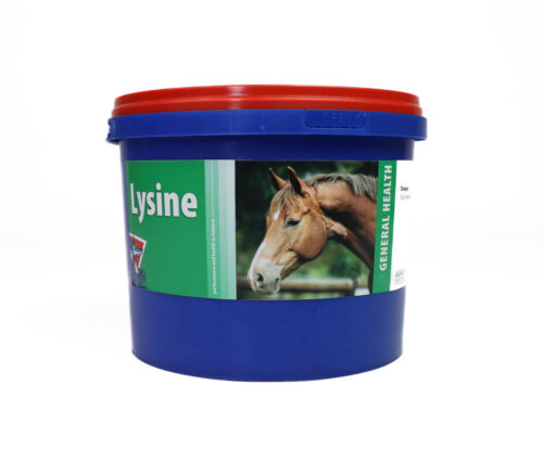 Equifox Lysine