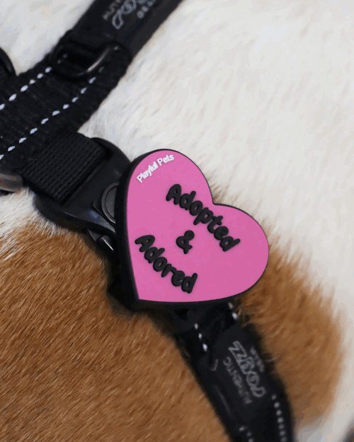 Pet Accessory - Adopted & Adored Pink Heart - Image 3