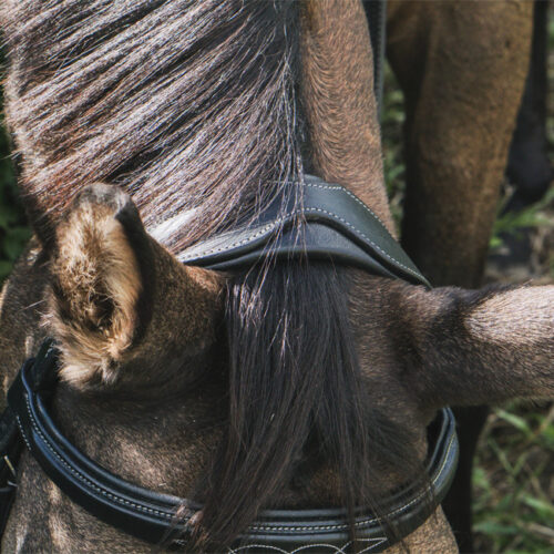 Unicorn Tack Anatomic Flash Bridle Black - Image 3