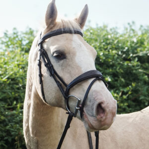 Unicorn Tack Anatomic Flash Bridle Brown