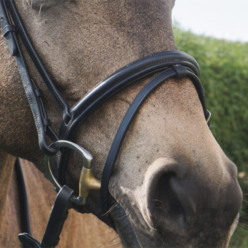 Unicorn Tack Flash Bridle with Reins Black - Image 2