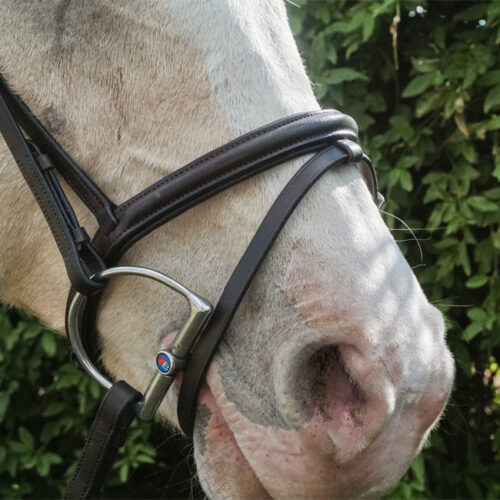 Unicorn Tack Flash Bridle with Reins Brown - Image 3