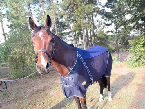 Unicorn Tack Fleece & Mesh Cooler Navy - Image 2