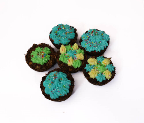 Neigh and Nicker Horse Treats - Image 3