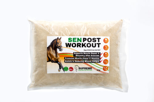 SEN Post Workout Refill 1kg