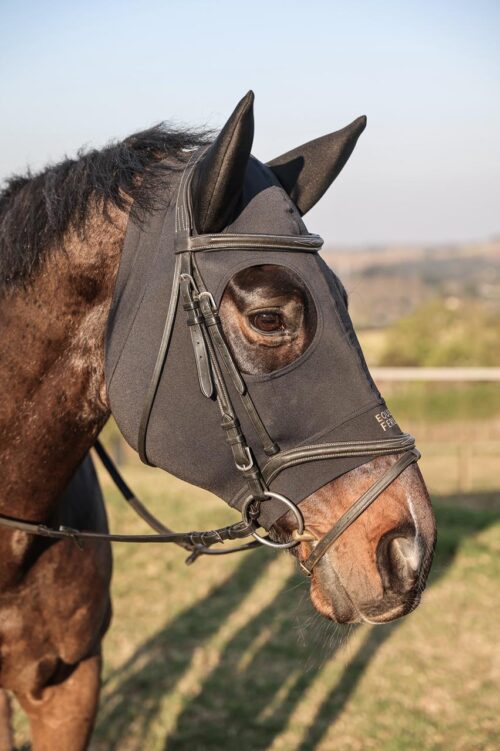 Equus Ferus Hoody