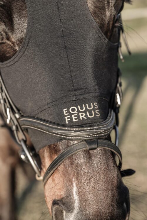 Equus Ferus Hoody - Image 4