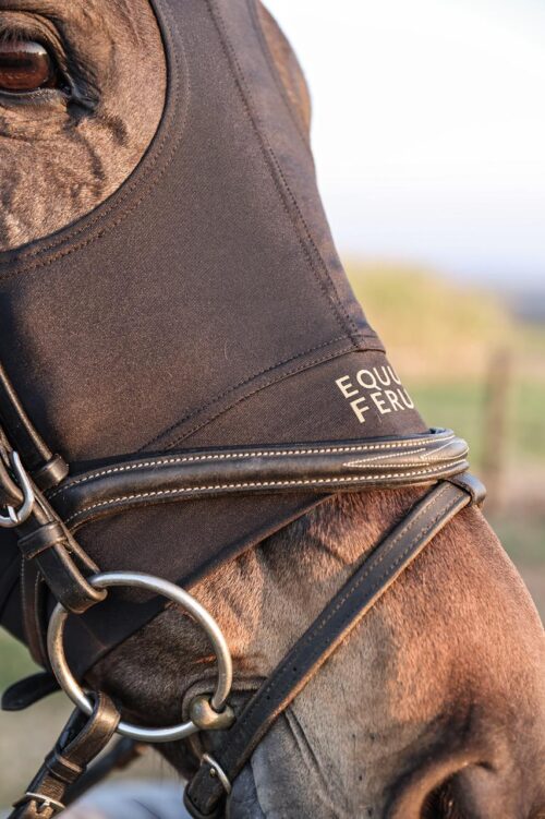 Equus Ferus Hoody - Image 3