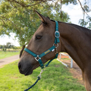 Unicorn Tack Headcollar & Rope Navy Green