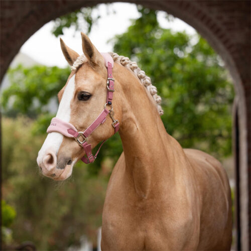 LeMieux Vogue Fleece Headcollar & Leadrope Blossom - Image 2